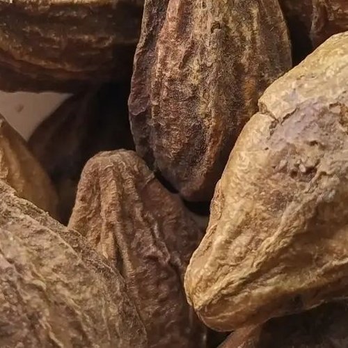 179 گرم هلیله زرد هلیله کابلی شجره شعیر هندی اهلیج کابلی