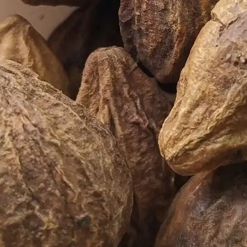 179 گرم هلیله زرد هلیله کابلی شجره شعیر هندی اهلیج کابلی