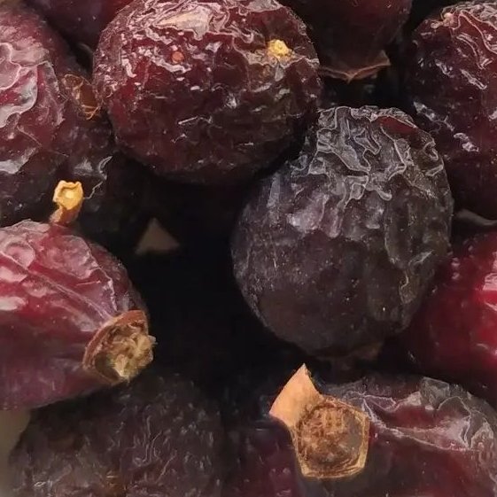 میوه نسترن 60 گرمی 