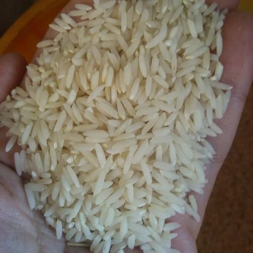 برنج طارم محلی مرغوب(10کیلویی)