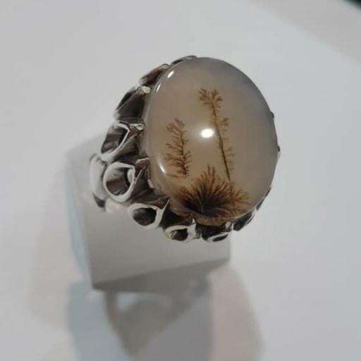 انگشتر نقره مردانه سنگ شجر طبیعی (ارسال رایگان)