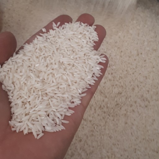 10کیلو برنج طارم استخوانی شمال