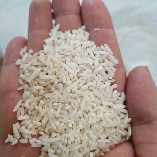 برنج سرلاشه طارم هاشمی 10 کیلویی امساله   خوش عطر و خوش طعم بسیار بتچا 