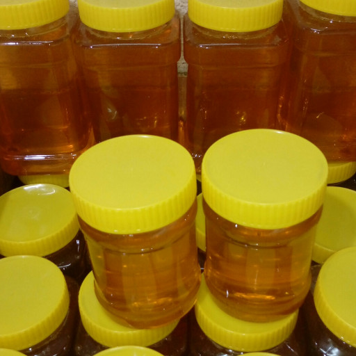 عسل پرورشی (1کیلویی) تولید زنبور