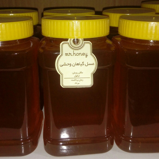 عسل چندگیاه ارگانیک (0.5k)