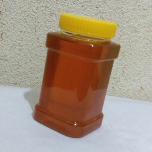 عسل کوهستان (1کیلویی)