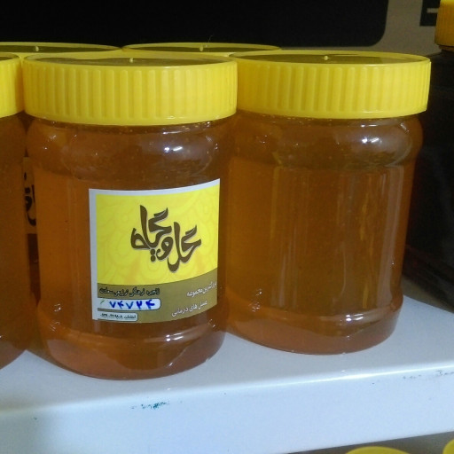 عسل گون گز (0.5k)