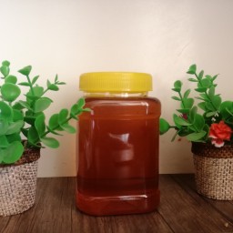 عسل طبیعی کوهی (1 کیلو)