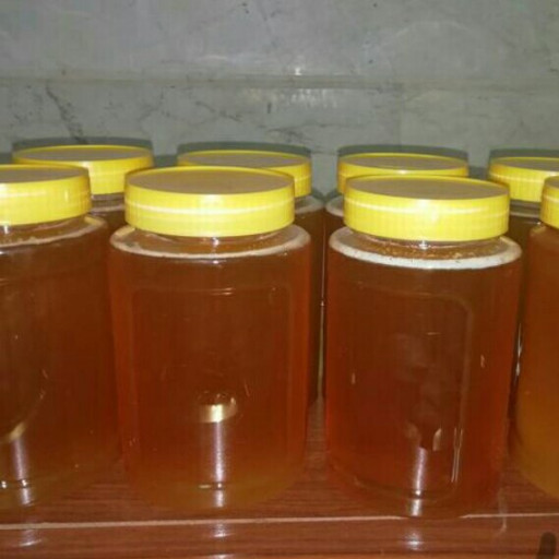 عسل 100درصد طبیعی (فروش عمده )