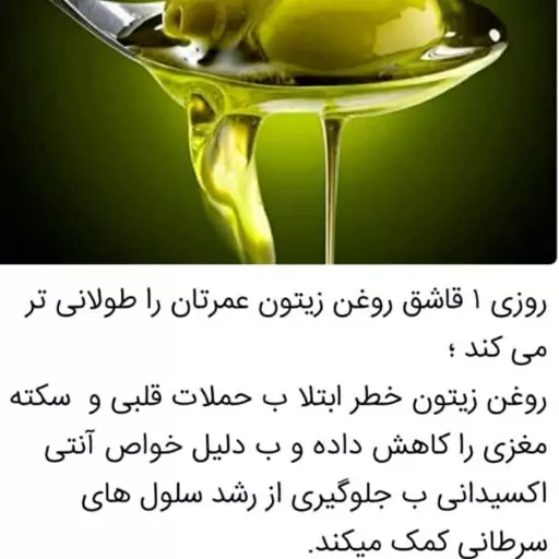 روغن زیتون اصل رودبار بدون بو (زیتون امیررضا .رودبار) کاملا سالم وطبیعی