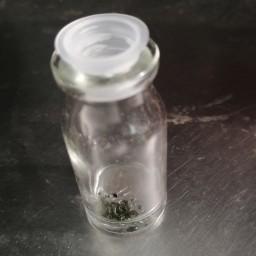 مرکورکروم یک شیشه کوچک