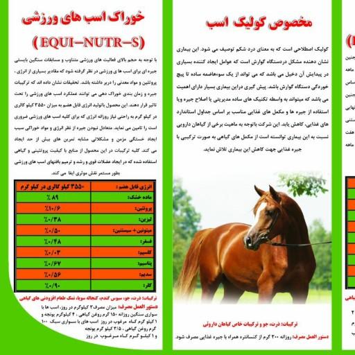 خوراک اسب ورزشی شرکت پارس مهر دانش ایرانیان