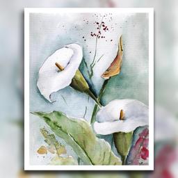 نقاشی آبرنگ طرح گل شیپوری سفید 
