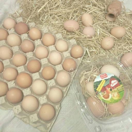 تخم مرغ  ارگانیک  30 عددی