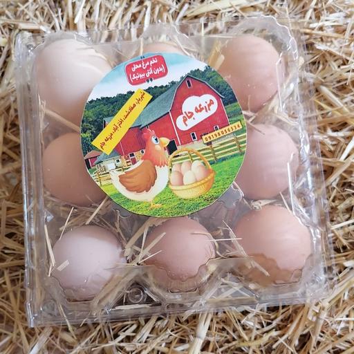 تخم مرغ محلی، 9عددی