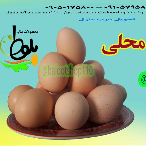 تخم مرغ محلی  30 تایی