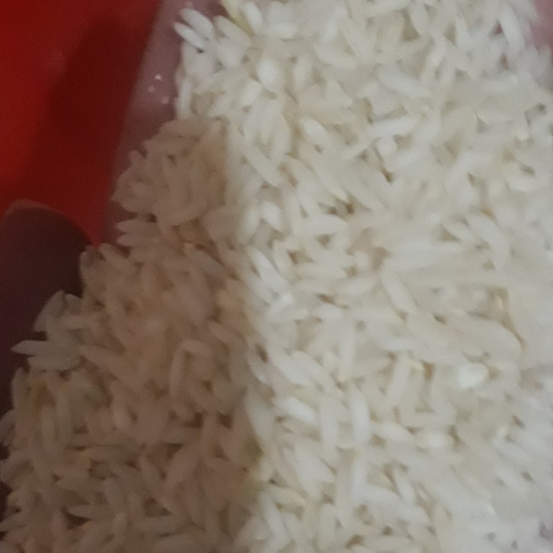 برنج محلی دورودلرستان بی نظیرترین برنج ایران ومنطقه