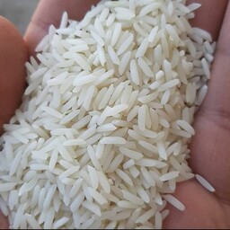 برنج هاشمی گیلان ده کیلویی با ارسال رایگان برنج گیلان برنج درجه یک 