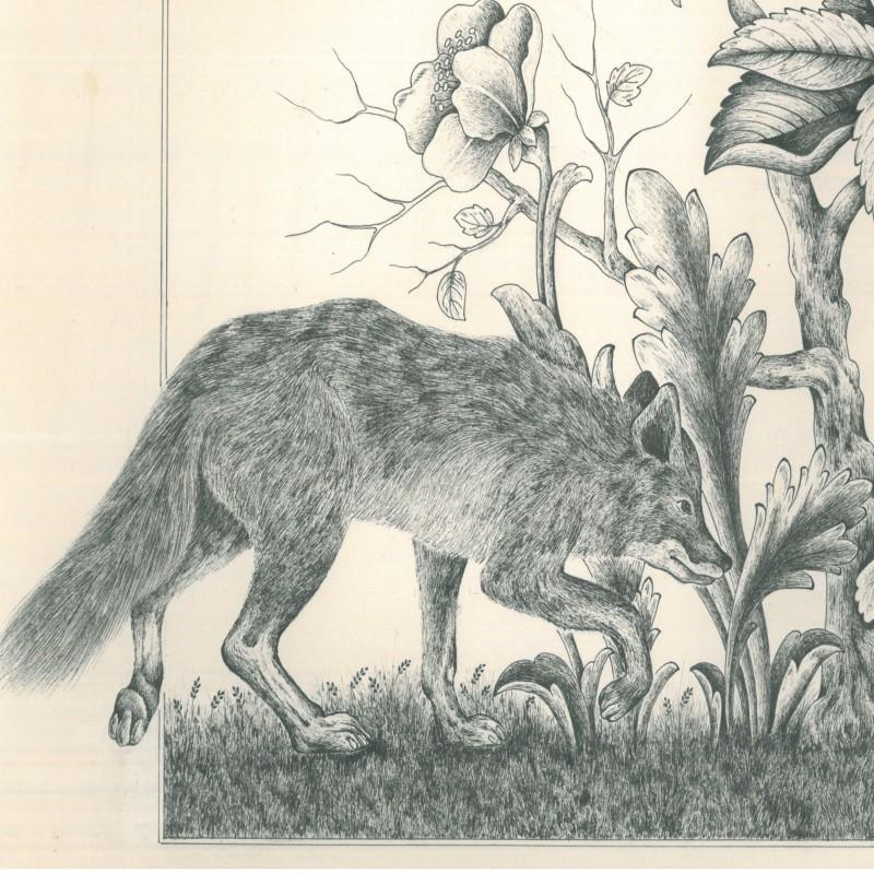 نقاشی روباه و خروس روی مقوا با راپید -سیاه و سفید