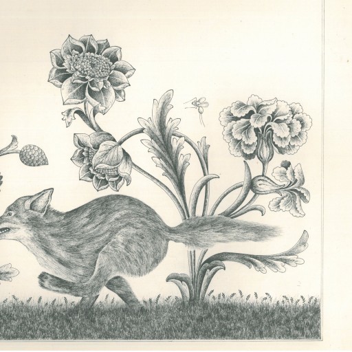 نقاشی،نگارگری روباه با راپید روی مقوا