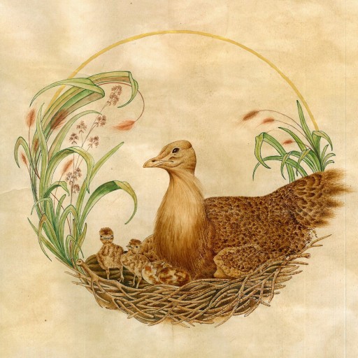 نقاشی پرنده میش مرغ بر روی مقوای رنگ شده با رنگ طبیعی