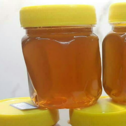 عسل گون زول (500 گرمی)