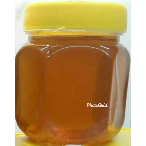 عسل گون زول (500 گرمی)