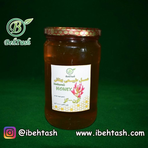 عسل طبیعی گون-گز