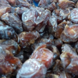 خرما ی کبکاب دشتستان