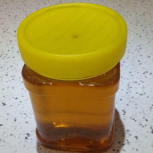 عسل طبیعی چهل گیاه سبلان نیم کیلویی