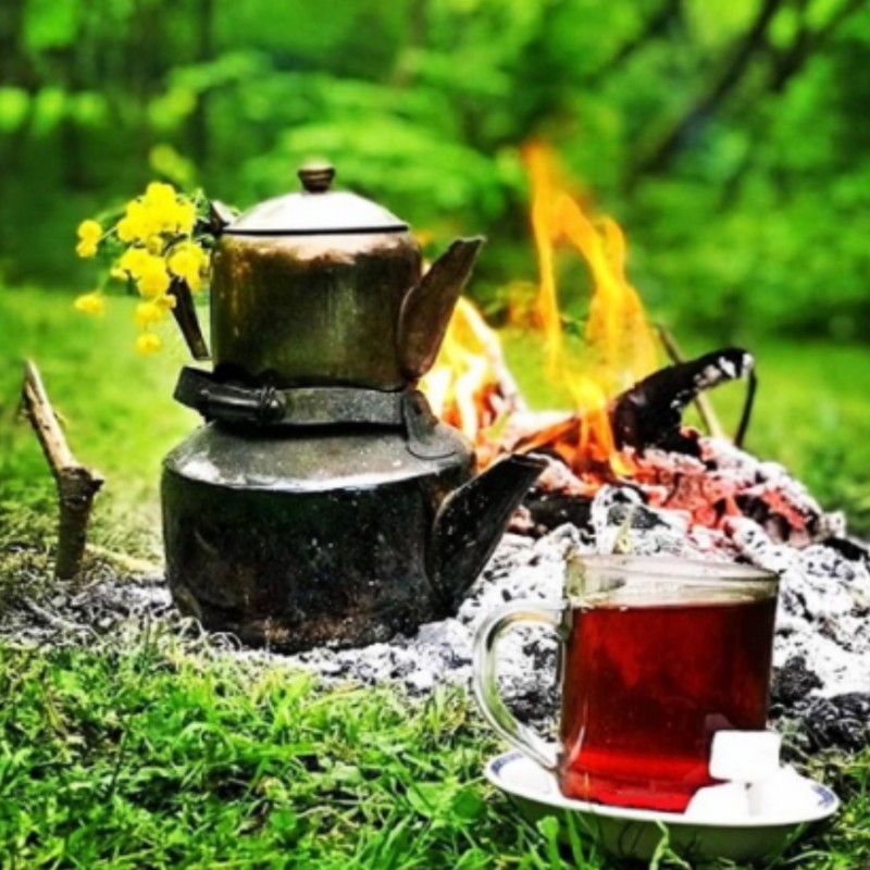 چای ممتاز  نیم قلم بهاره لاهیجان - درجه یک با طعم دلپذیر و عطر فراموش نشدنی