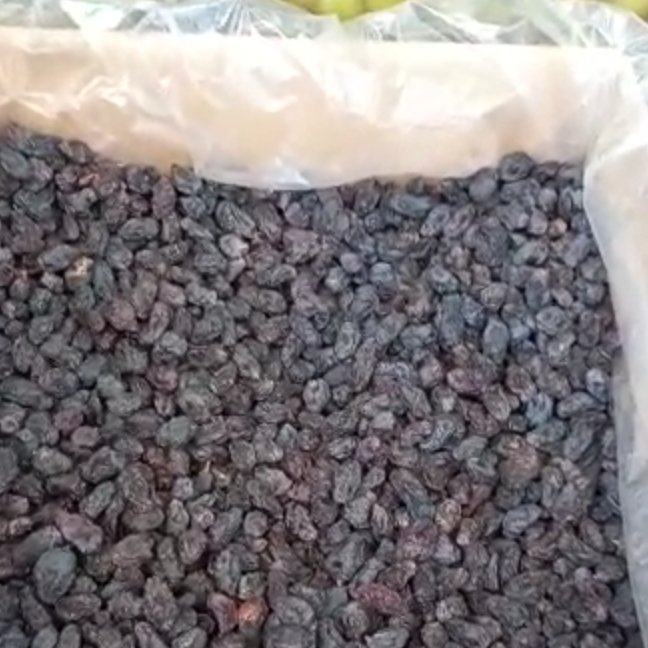 مویز سیاه(درشت و خوش خوراک)