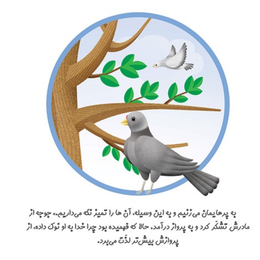 کتاب چرا خدا به کبوتر نوک داده است نوشته غلامرضا حیدری ابهری