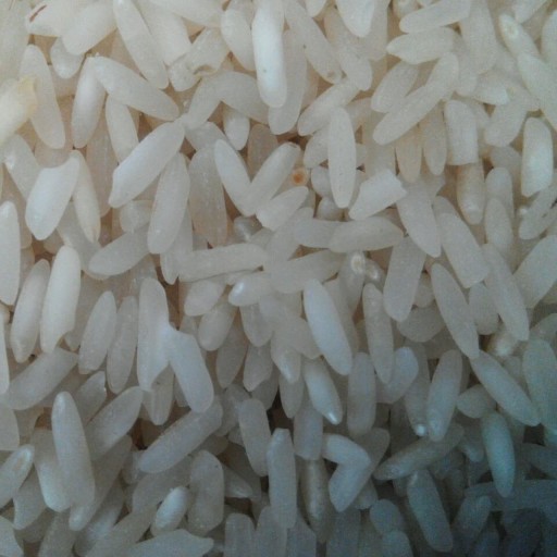 برنج «طارم جنوب » طوبی‌10کیلو *ویژه شهر قم ارسال رایگان