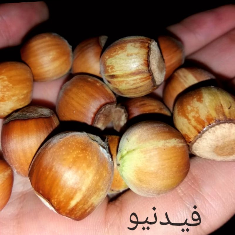 توضیحات تصویر