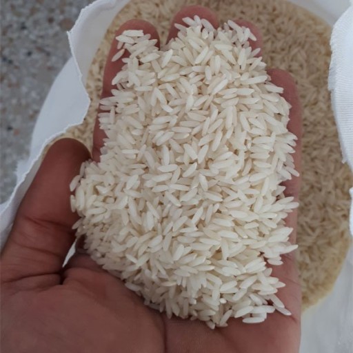 برنج امرالهی (بینام) کشت دوم فریدونکنار - برنج بهزاد - 10 کیلو