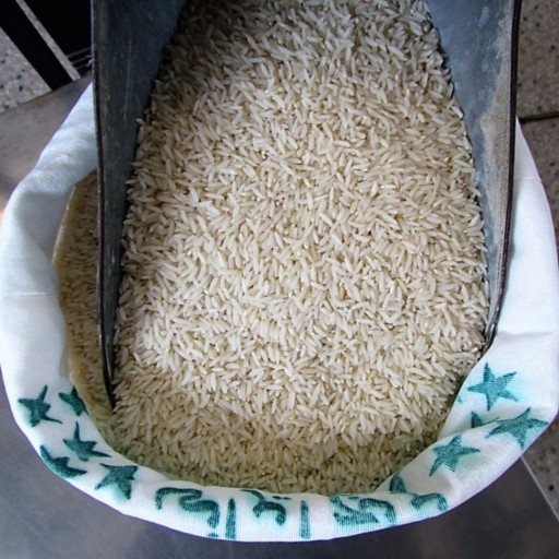 برنج هاشمی فریدونکنار - برنج بهزاد - 10 کیلو