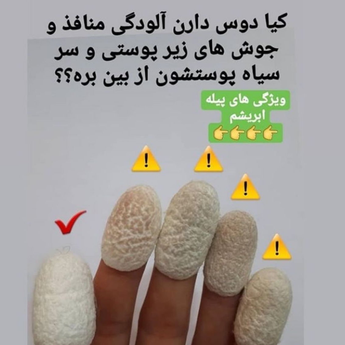 پیله ابریشم