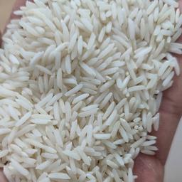 برنج طارم  امر الهی  درجه یک فریدونکنار