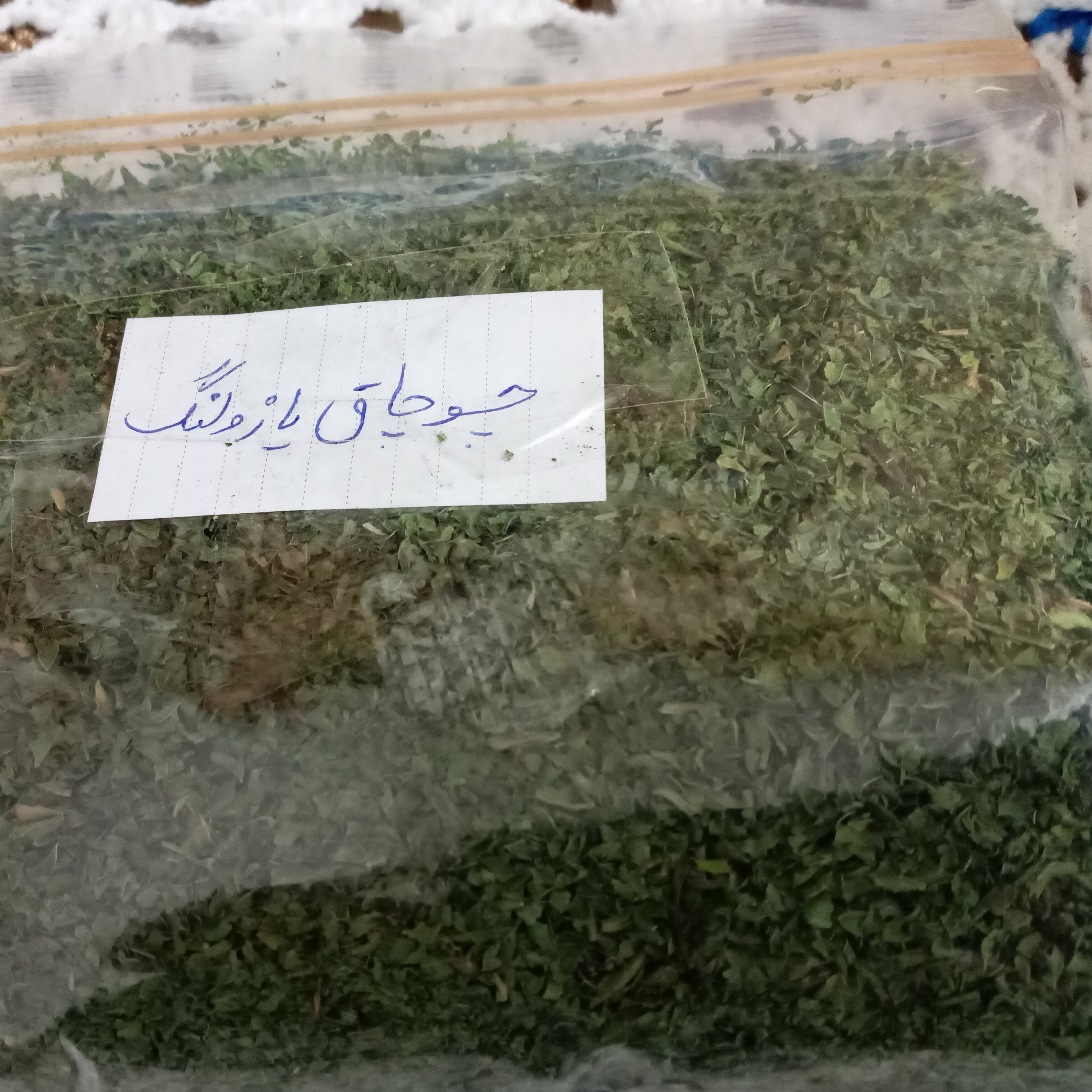 چوچاق یا زولنگ یا اییه