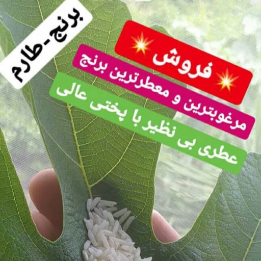 برنج طارم ناب   شمال  درجه یک وتضمینی