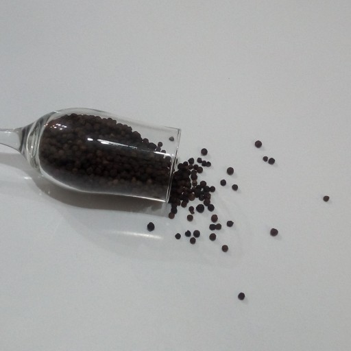 فلفل سیاه دانه درشت (500گرمی) گیاه شفا