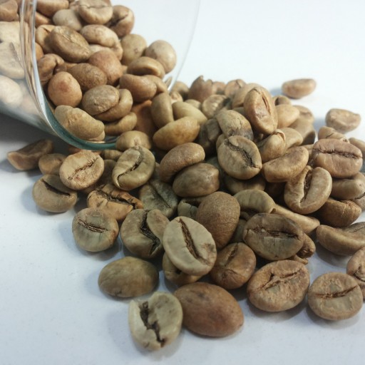 قهوه سبز دانه (500گرمی)