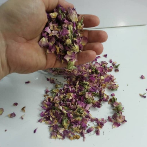 گل محمدی دمنوشی (1 کیلوگرمی) گیاه شفا
