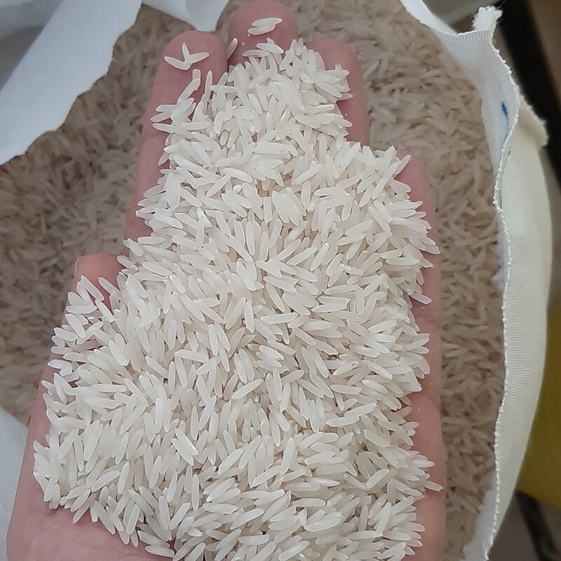 برنج فجر گرگان (10کیلویی) ارسال رایگان