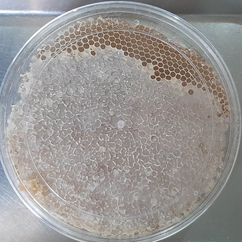 عسل شان  با عطر و طعم بی نظیر از ییلاقات شهرستان خوی 