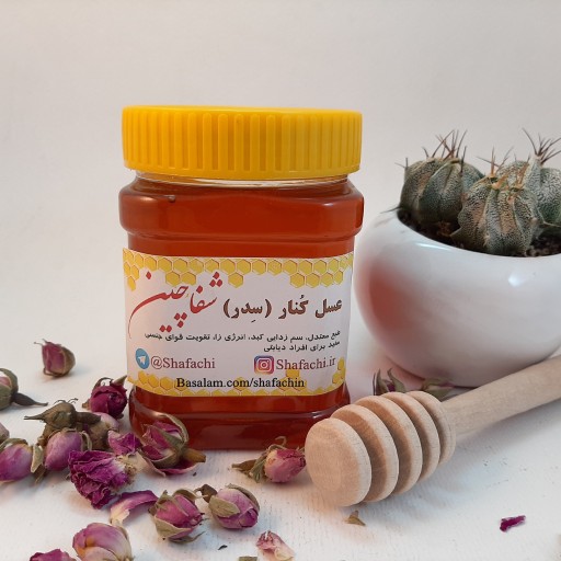 عسل کُنار (سدر) 500 گرمی ممتاز