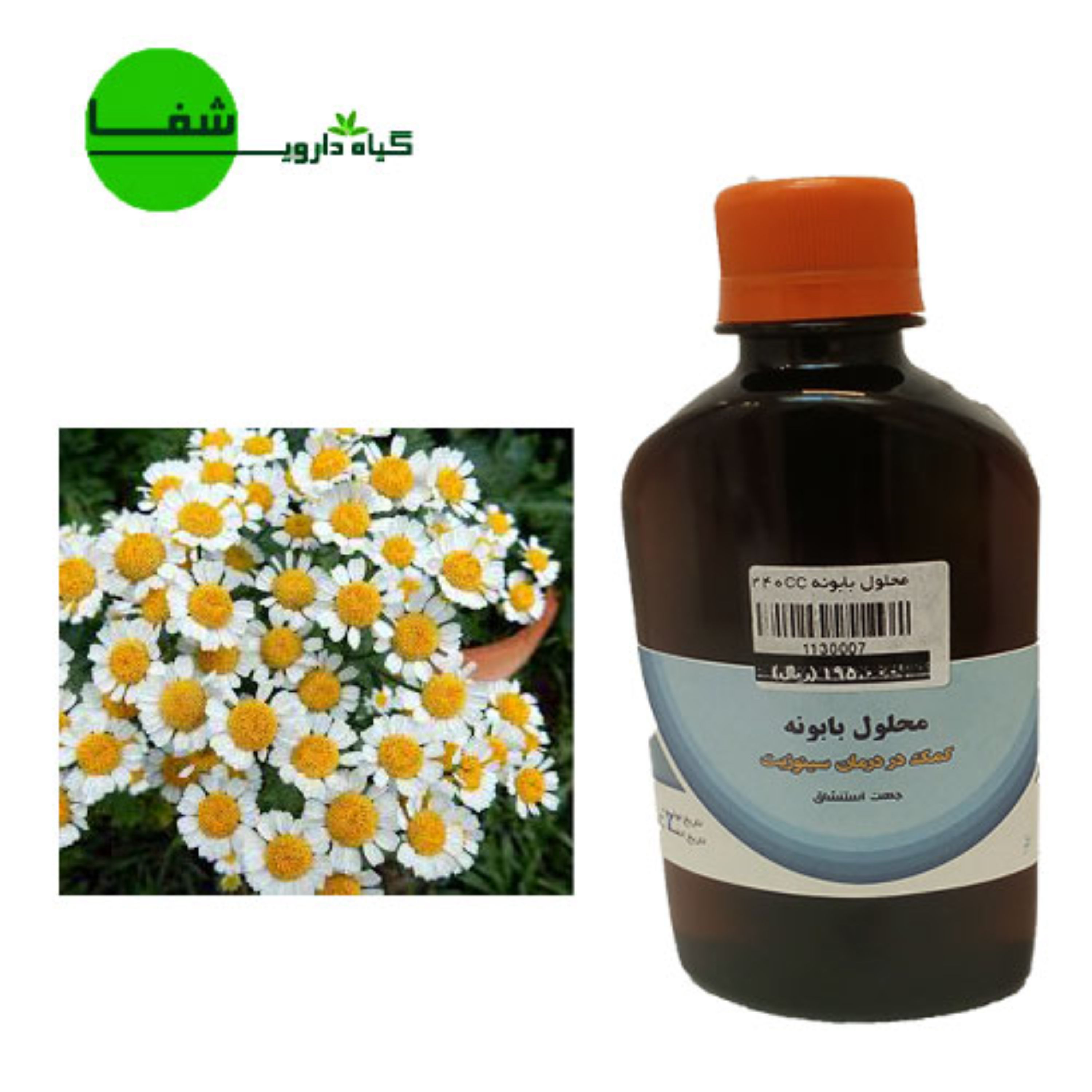 توضیحات تصویر