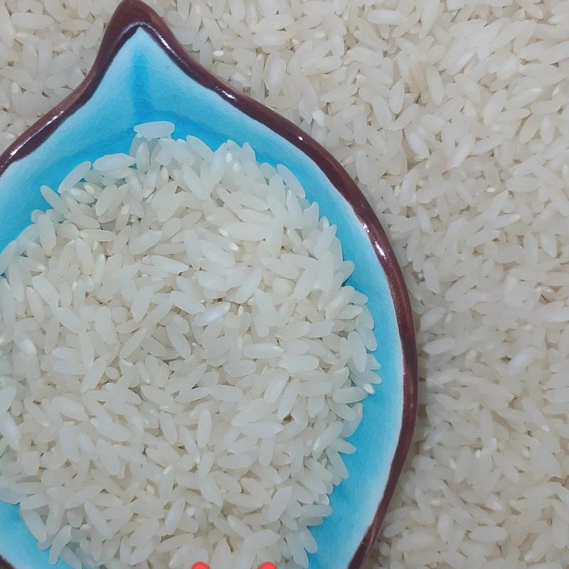 برنج لنجان 5 کیلوگرم ( زرین شهر)