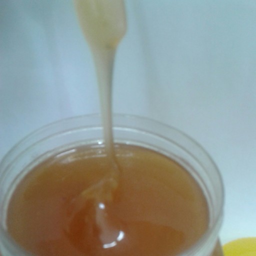عسل مرکبات( 1 کیلوگرم)